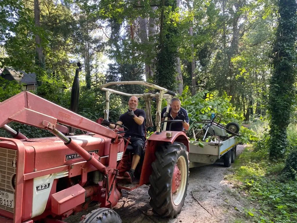 Kampf gegen den Knöterich