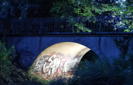 irisseefest 2025, Foto: Volker Tanner