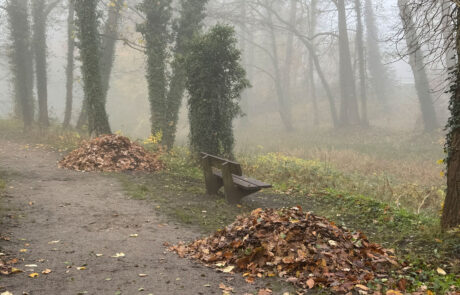 Herbstputz im November 2025 - Foto: Volker Tanner