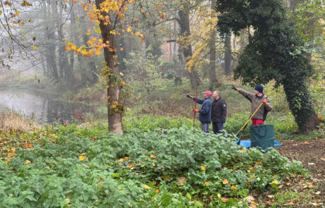 Herbstputz im November 2025 - Foto: Volker Tanner